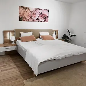  Appartement Eine Schoene Im Herzen Von Basel.
