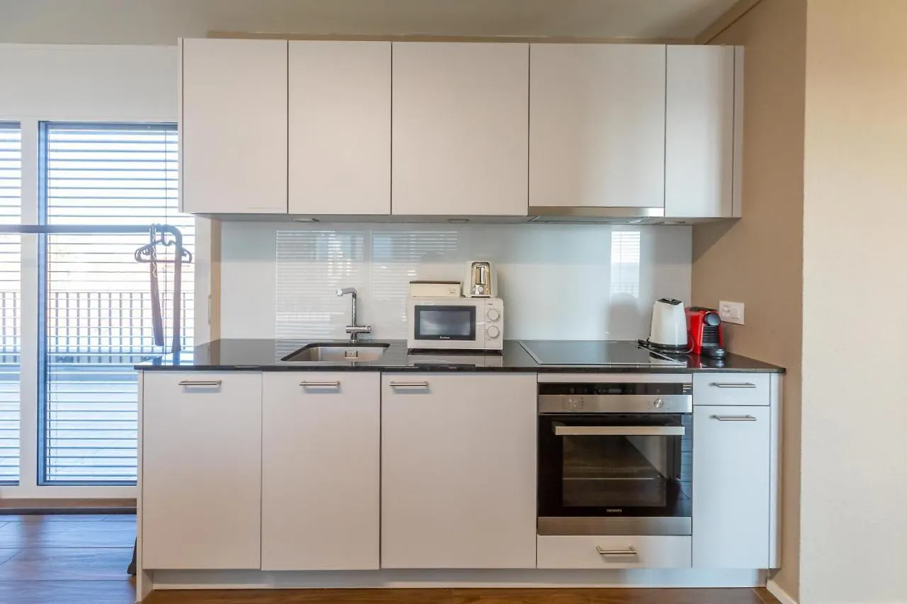 Skyline Exclusive Penthouse Apartments Basel İsviçre